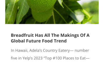 Breadfruit Has All The Makings Of A Global Future Food Trend