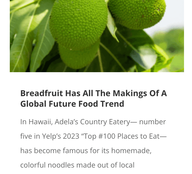 Breadfruit Has All The Makings Of A Global Future Food Trend