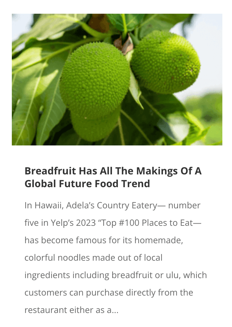 Breadfruit Has All The Makings Of A Global Future Food Trend